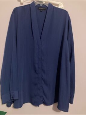 Blue Long Sleeve V-Neck Button Front Blouse